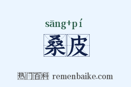 桑皮是什么意思的图片